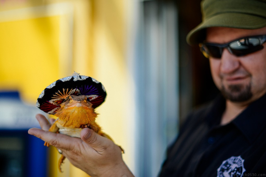 Nikon D800 with 50mm F1.4G