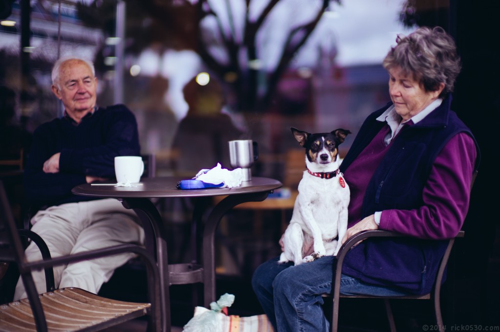 Leica M9P with 50mm Noctilux 0.95.