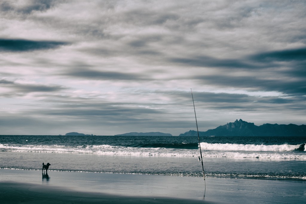 Nikon D800 with 70-200 F2.8G
