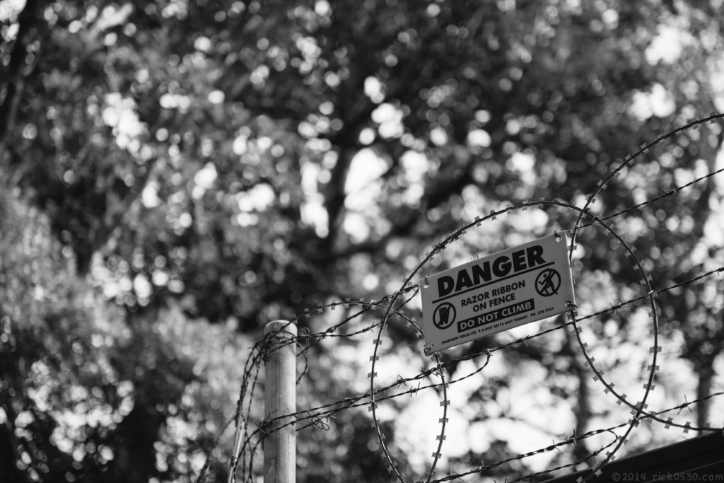 Nikon D800 with Nikon 50mm F1.4 G