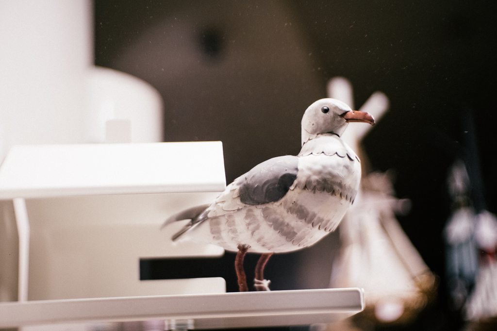 Fujifilm X Pro 1 with Fujian CCTV 35mm F1.7 Lens.