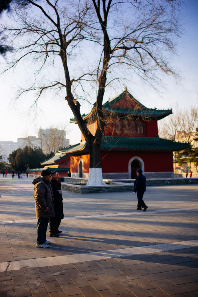 Temple of Earth (Ditan Park), Beijing. Taken by Leica M240 with Leica 35mm Summilux F1.4 ASPH