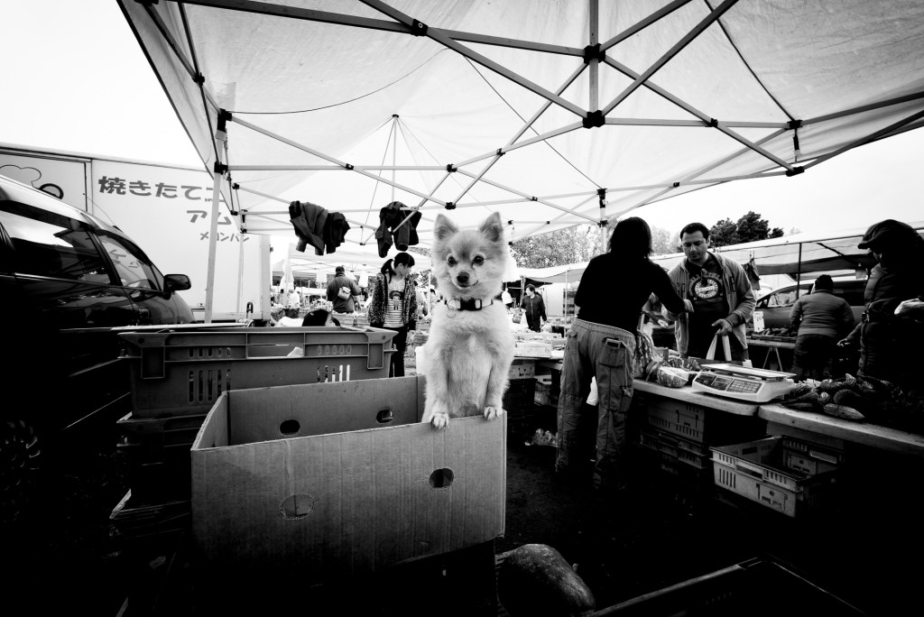 Leica M240 with Voigtlander Super Wide-Heliar 15mm f/4.5 Aspherical III