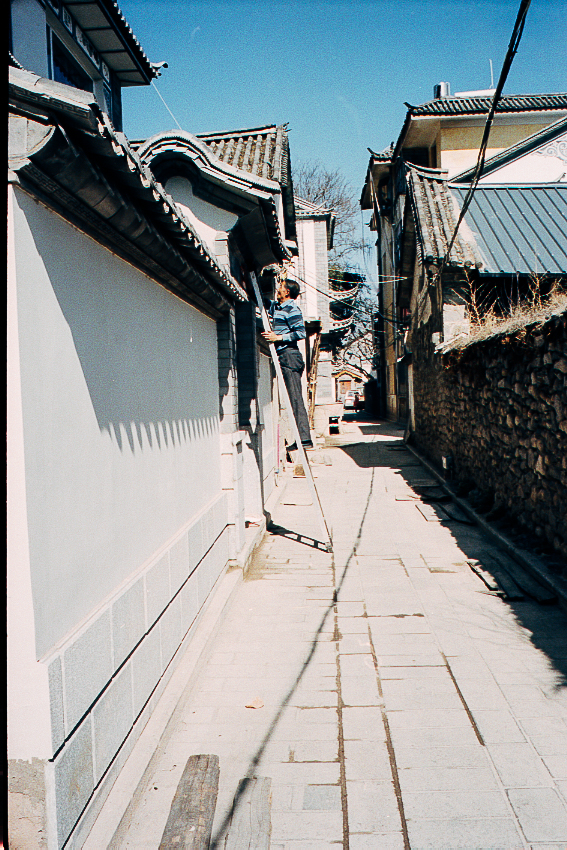Kodak Ektar 100, Leica M7 with Leica 35mm Summicron F2 Version 4