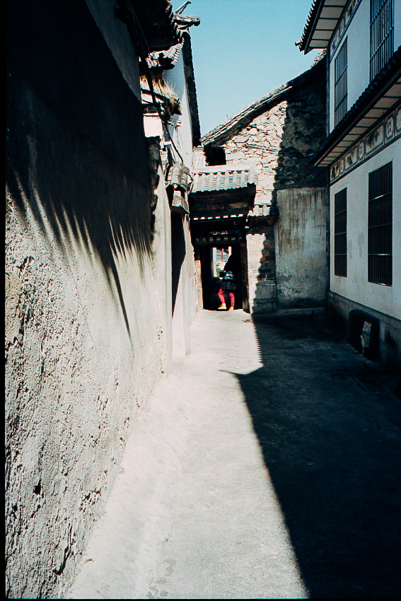 Kodak Ektar 100, Leica M7 with Leica 35mm Summicron F2 Version 4